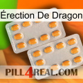 Érection De Dragon cialis4